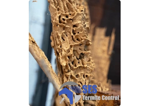 Termite Inspections Melbourne - 4/4