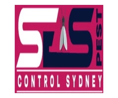 Termite Inspection Sydney