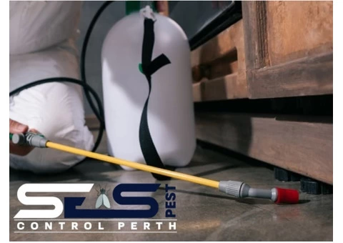 Flies Removal Perth - 5/5