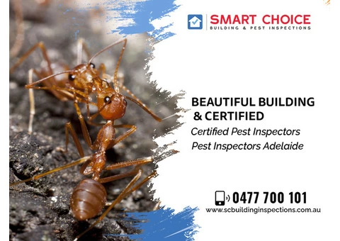 Explain To Building, Home, Property, House Inspections in Adelaide