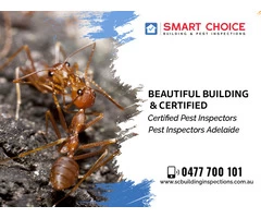 Explain To Building, Home, Property, House Inspections in Adelaide