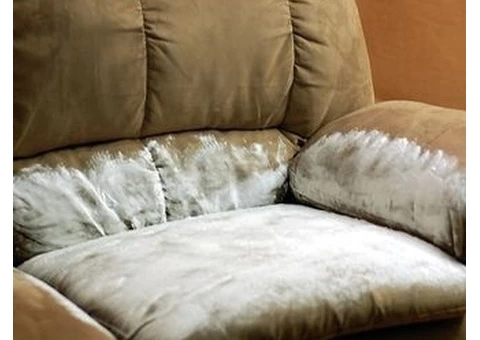 Couch Cleaning Service Melbourne - 3/4