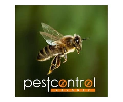 Bee Removal Sydney