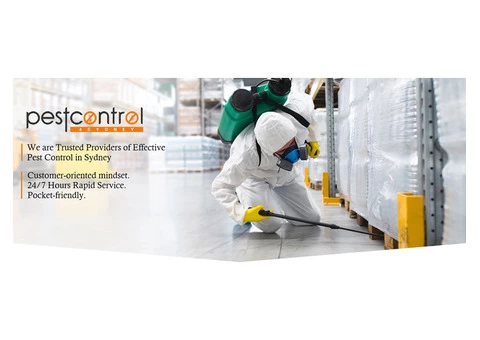 Bee Removal Sydney - 4/6