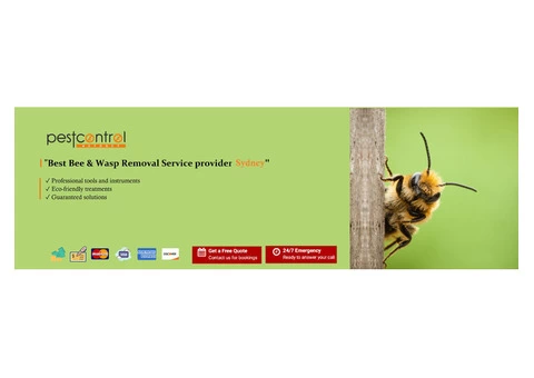 Bee Removal Sydney - 6/6