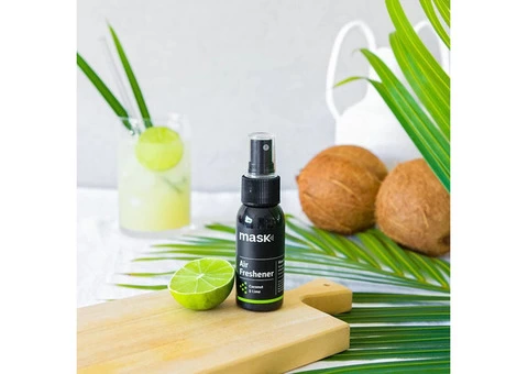 Best Air Freshener For Home