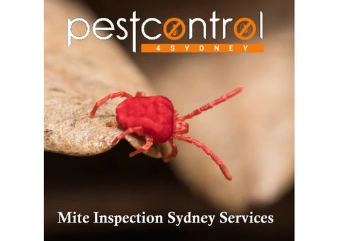 Mite Control Sydney - 1/6