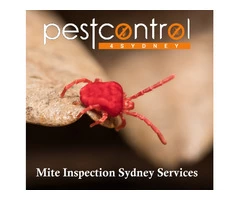 Mite Control Sydney