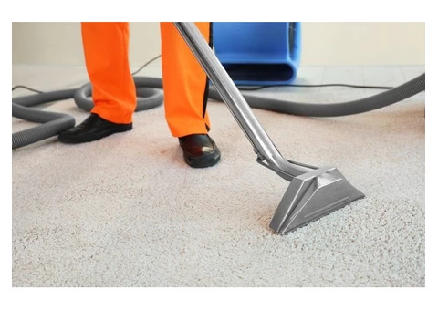 Green Carpet Cleaning Adelaide - 1/4