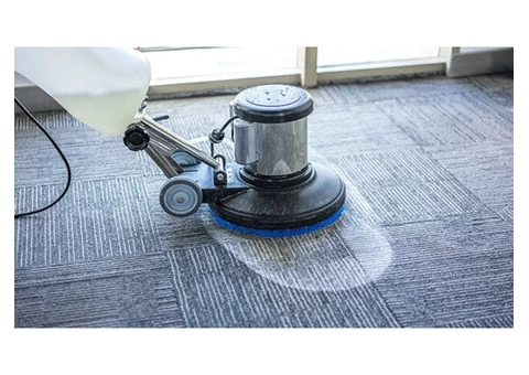 Expert Carpet Cleaning Services