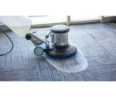 Expert Carpet Cleaning Services
