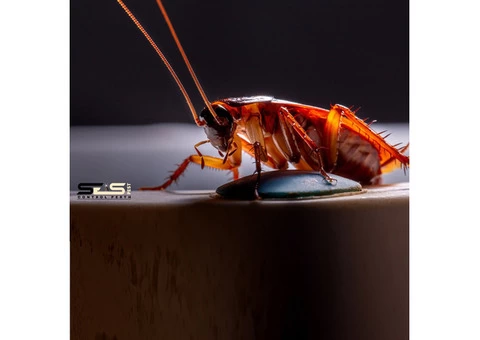 Pest Control Perth - 1/6