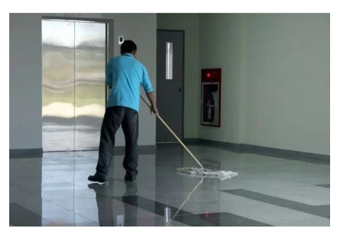 Experienced & Professional Office Cleaners in Hobart - 2/4