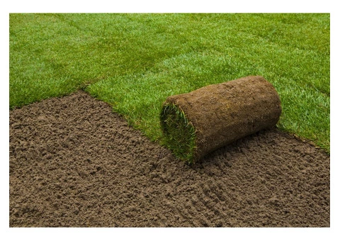 High-quality lawn & turf Installation in Sydney