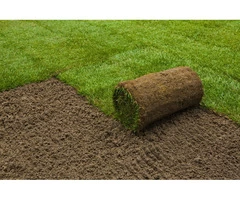 High-quality lawn & turf Installation in Sydney