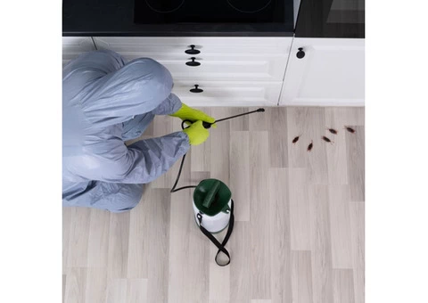 Hire The Best Cockroaches Control Service in Melbourne