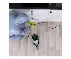 Hire The Best Cockroaches Control Service in Melbourne