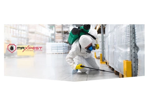 Termite Treatment Adelaide - 4/7