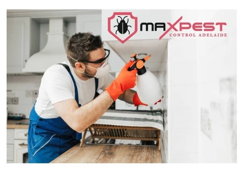 Termite Treatment Adelaide - 5/7