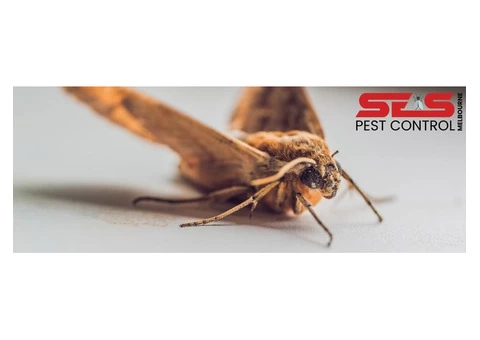 Pest Control Lyndhurst - 4/6