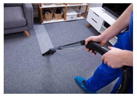 Same day commercial carpet cleaner