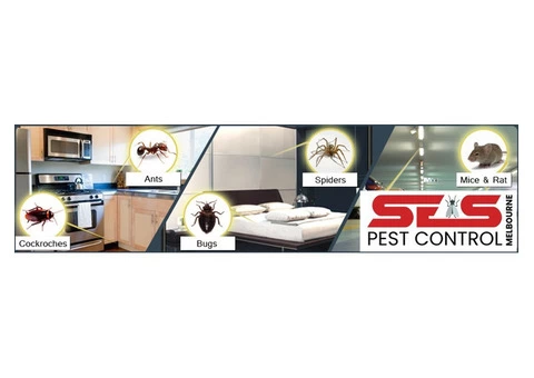 Pest Control Frankston - 1/6
