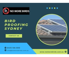 Solar Panel Bird Proofing Sydney