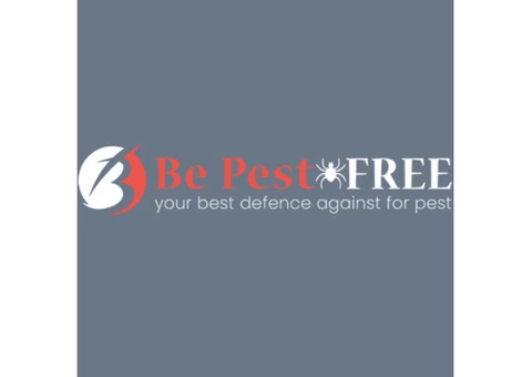 Be Pest Free Bee Control Adelaide
