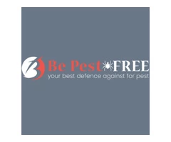 Be Pest Free Bee Control Adelaide