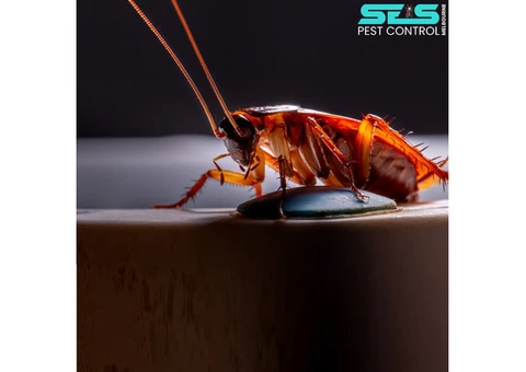 Pest Control Berwick - 3/6