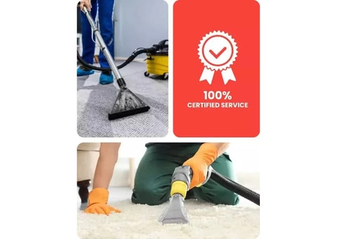 Carpet Cleaning Seacliff - 5/7