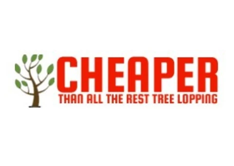 Are you looking for stump grinding services in Logan?