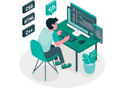 Professional Website Designers in Noida