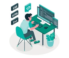 Professional Website Designers in Noida