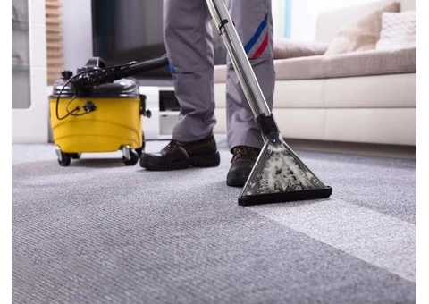 Professional Carpet Cleaning
