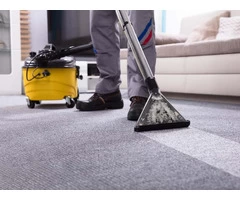 Professional Carpet Cleaning