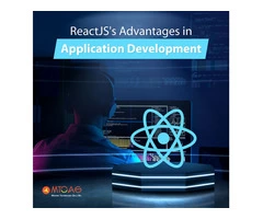 ReactJS's Advantages in Application Development