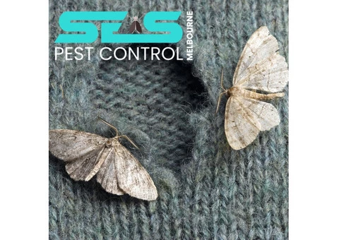 Moth Pest Control Melbourne - 1/7