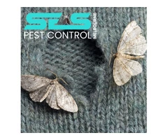 Moth Pest Control Melbourne