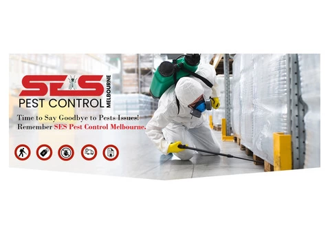 Moth Pest Control Melbourne - 3/7