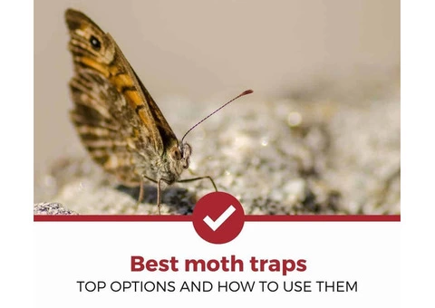 Moth Pest Control Melbourne - 5/7