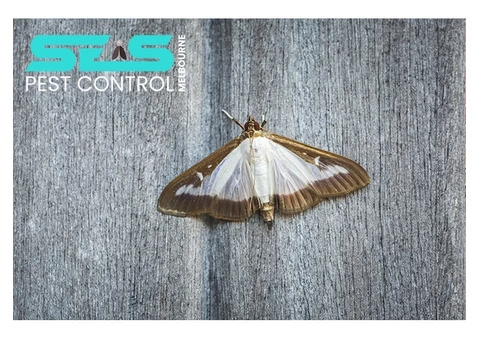 Moth Pest Control Melbourne - 7/7