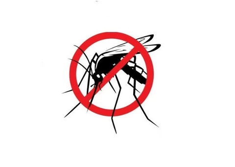 Mosquito Extermination Sydney - 1/4