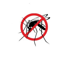 Mosquito Extermination Sydney
