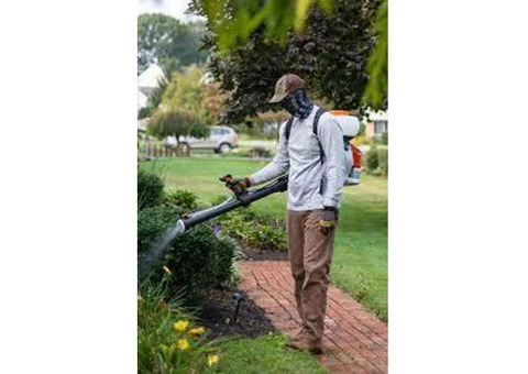 Mosquito Extermination Sydney - 4/4