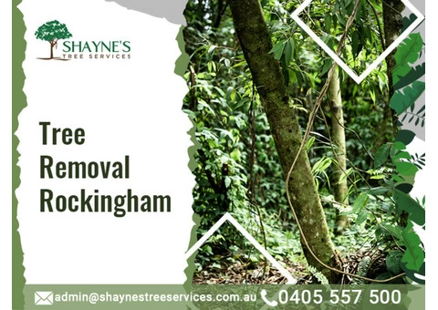 Best Tree Removal Safety in Bay-Shaynestreeservices