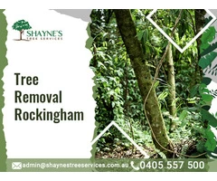 Best Tree Removal Safety in Bay-Shaynestreeservices