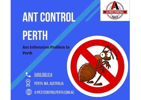 Book The Ant Control In Perth At A Reasonable Price