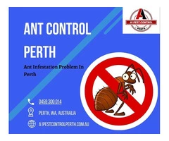 Book The Ant Control In Perth At A Reasonable Price