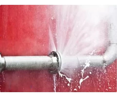 Leak Detection Specialist